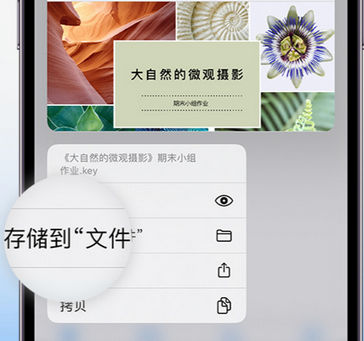 德昌apple维修中心分享iPhone文件应用中存储和找到下载文件