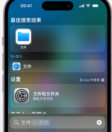 德昌apple维修中心分享iPhone文件应用中存储和找到下载文件 