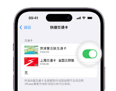 德昌apple维修点分享iPhone上更换Apple Pay快捷交通卡手绘卡面 