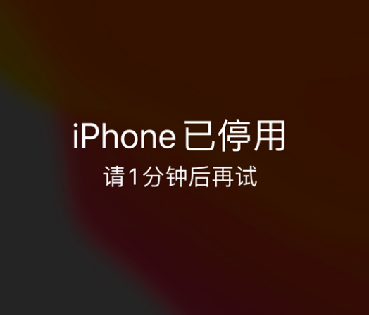 德昌苹果手机维修分享:iPhone 显示“不可用”或“已停用”怎么办？还能保留数据吗？ 