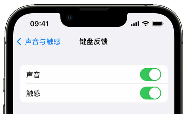 德昌苹果手机维修分享iPhone 14触感键盘使用方法 