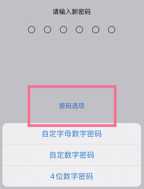 德昌苹果14维修分享iPhone 14plus设置密码的方法 