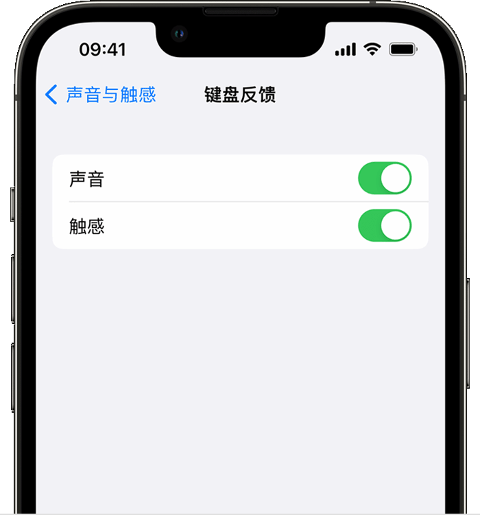德昌苹果14维修分享iPhone 14 系列机型如何开启键盘声音或触感反馈 