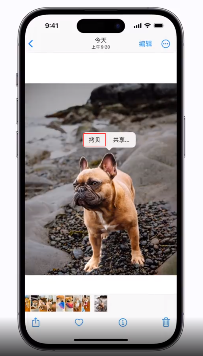德昌苹果手机维修分享 iOS 16 自带一键抠图功能 