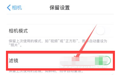 德昌苹果13维修分享iPhone13拍照有绿点是怎么回事 
